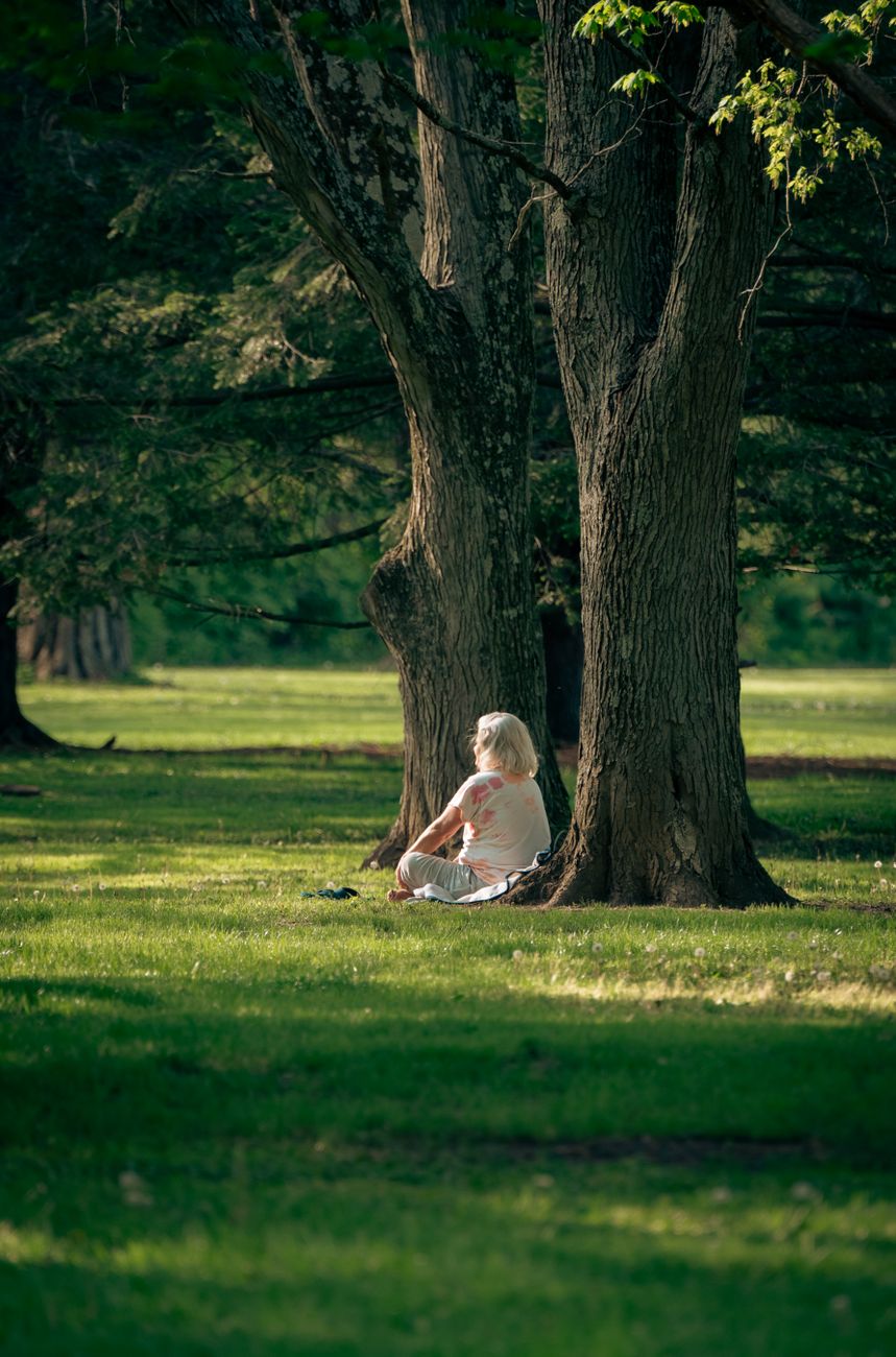 Cognitive longevity therapy and meditation